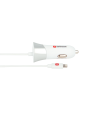 Auto-Ladegerät für den Zigarettenanzünder mit Lightning Connector Kabel: USB Car Charger & Lightning Connector